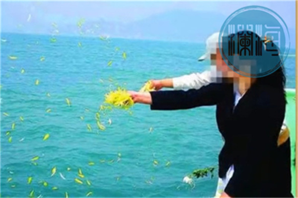 上海免费海葬手续如何办理？