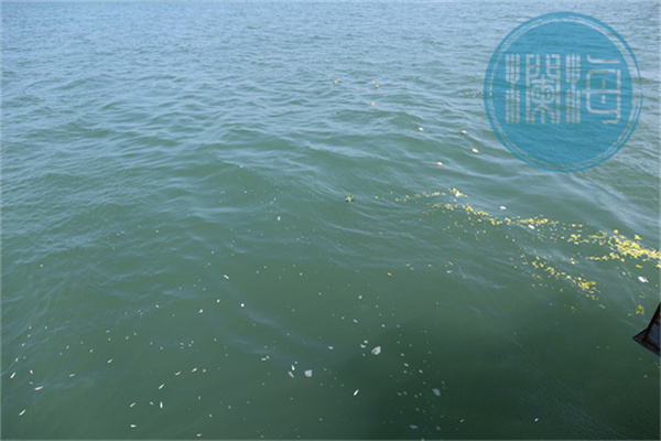 上海海葬补贴最新标准？