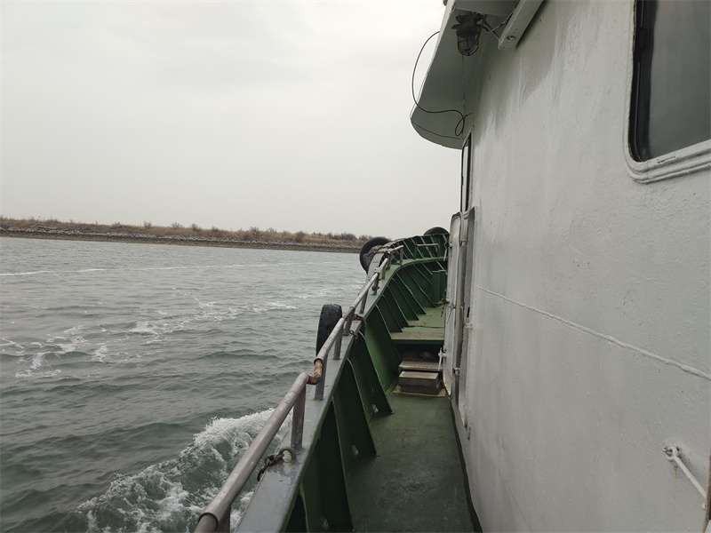可以海葬的城市有哪些地方