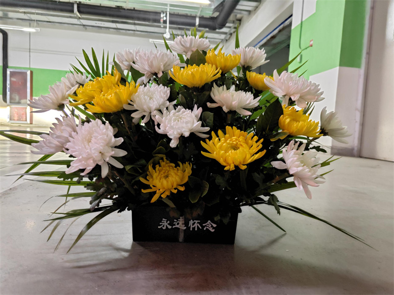 北京市海撒需要多长时间预约