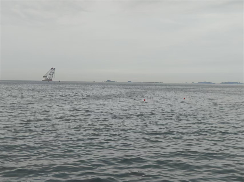 骨灰撒海里能投胎吗