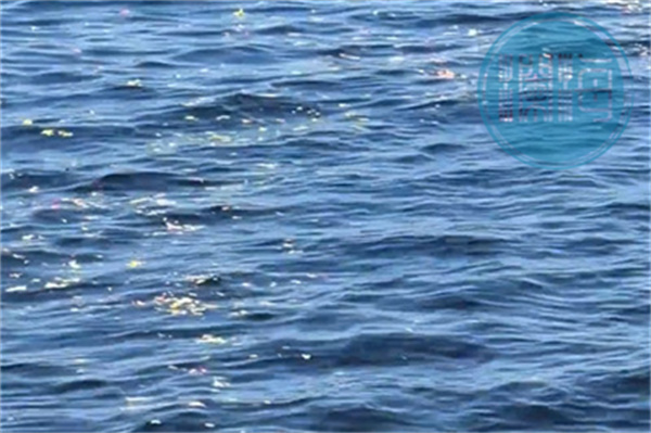 呼市骨灰海葬全部费用大概多少钱